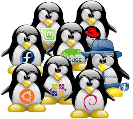 NowSMS NextGen for Linux